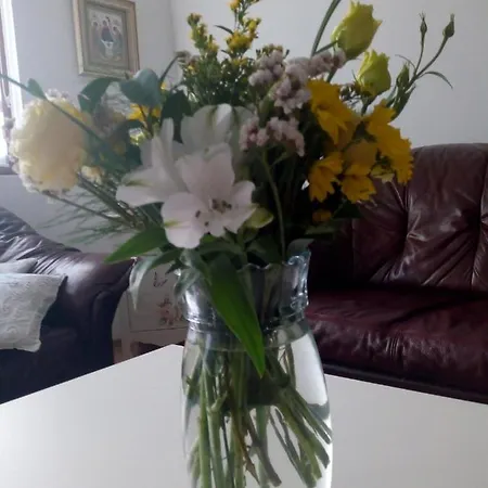 Apartment Nektar 88 Vrnjacka Banja