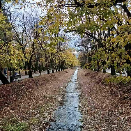 Nektar 88 * Vrnjačka Banja