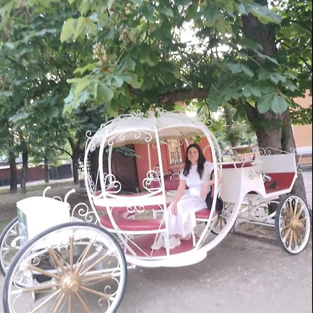 Nektar 88 * Vrnjačka Banja