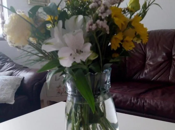 Appartement Nektar 88 Vrnjačka Banja