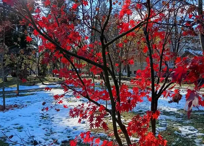 Appartement Nektar 88