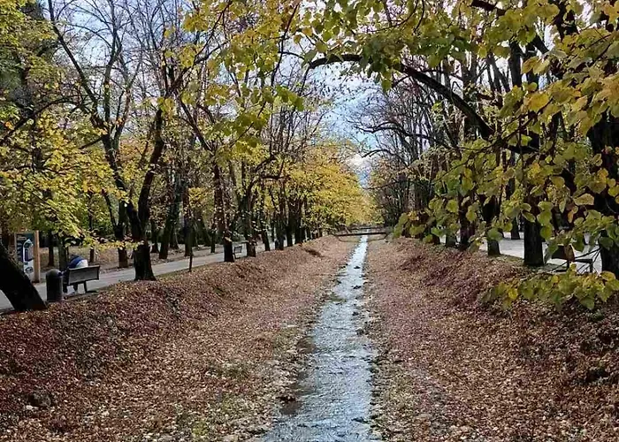 Nektar 88 * Vrnjačka Banja