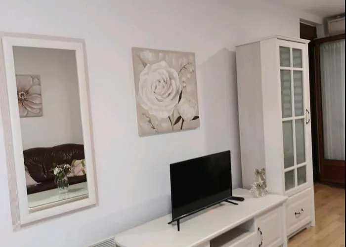 Nektar 88 Appartement Vrnjačka Banja